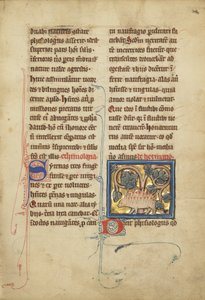 Et pinnsvin fra et bestiarium Ms Ludwig XV 4, fol. 82, ca. 1280-1300 (tempera, penn og blekk, bladgull og maling på pergament) av Franco Flemish School