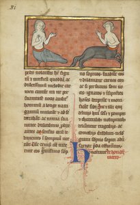 En sirene og en kentaur fra et bestiarium Ms Ludwig XV 4, fol. 81v, ca. 1280-1300 (tempera, penn og blekk, bladgull og maling på pergament)