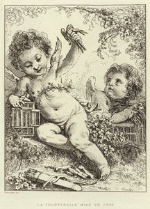 The Caged Dove (gravering) av Francois (after) Boucher