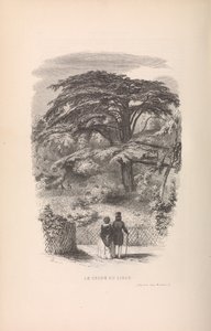 Den botaniske hagen, beskrivelser og oppførsel av pattedyr, 1842.