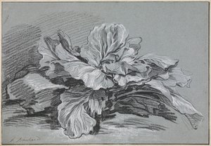  av François Boucher