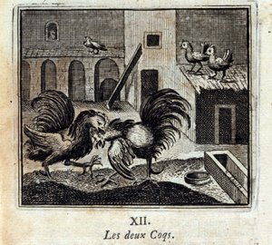 Begge haner. Fabler av Jean de La Fontaine (1621-95). Illustrasjon av Francois Chauveau (1613-1676). Utgave av 1728. av Francois Chauveau