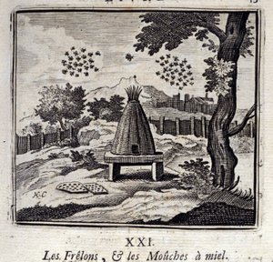 Hornets og honningfluer. Fabler av Jean de La Fontaine (1621-95). Illustrasjon av Francois Chauveau (1613-1676). Utgave av 1728. av Francois Chauveau