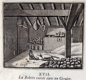 La Weasette gikk inn i en Grenier. Fabler av Jean de La Fontaine (1621-95). Illustrasjon av François Chauveau (1613-1676). Utgave av 1728. av Francois Chauveau