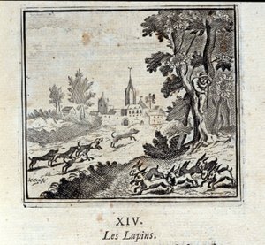 Kaniner. Fabler av Jean de La Fontaine (1621-95). Illustrasjon av François Chauveau (1613-1676). Utgave av 1728. av Francois Chauveau