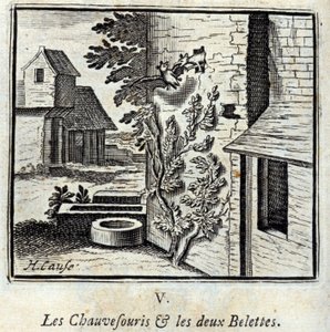 Flaggermusen og de to veslene. Fabler av Jean de La Fontaine (1621-95). Illustrasjon av François Chauveau (1613-1676). Utgave av 1728. av Francois Chauveau
