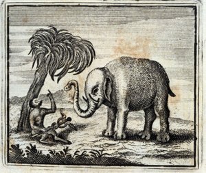 Elefanten og apen fra Jupiter. Fabler av Jean de La Fontaine (1621-95). Illustrasjon av François Chauveau (1613-1676). Utgave av 1728.