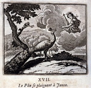 Påfuglen klager til Juno. Fabler av Jean de La Fontaine (1621-95). Illustrasjon av Francois Chauveau (1613-1676). Utgave av 1728. av Francois Chauveau
