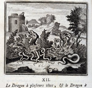 Dragen har flere hoder og dragen har flere haler. Fabler av Jean de La Fontaine (1621-95). Illustrasjon av François Chauveau (1613-1676). Utgave av 1728. av Francois Chauveau