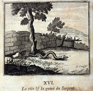 Hodet og halen til slangen. Fabler av Jean de La Fontaine (1621-95). Illustrasjon av François Chauveau (1613-1676). Utgave av 1728. av Francois Chauveau
