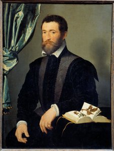 Portrett av apotekeren Pierre Quthe (1519-après 1588) Maleri av Francois Clouet (1515-1572) 1562 Søn. 0,91x0,7 m - Portrett av apotekeren Pierre Quthe (1519- ca1588). Maleri av Francois Clouet (1515-1572) av François Clouet
