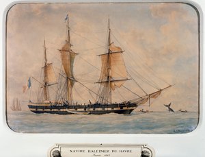 Hvalfangstskip ved Havre