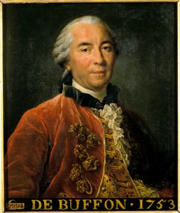 Portrett av Georges Louis Leclerc, greve av Buffon, intendant for de kongelige hagene, naturforsker og forfatter (1707-1788). Maleri etter originalen av Francois Hubert Drouais (1727-1775). Dim 0,63 x 0,52. Versailles. Chateau-museet av Francois Hubert Drouais