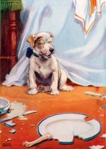 Hund med ødelagt tallerken (farge litho) av Frank Adams