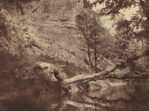 Elvebredden, ca. 1855.