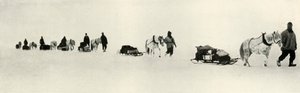 Ponnier i mars 1911, 1913 av Frank Debenham
