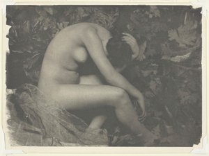 Sikaden, 1898.