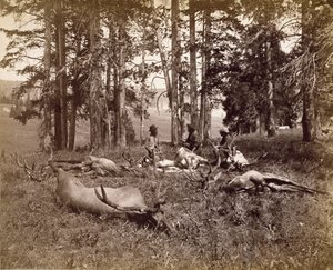 Elk Hunters, Yellowstone, ca. 1880 (albumin sølvtrykk)
