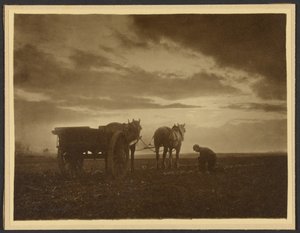  av Frank Meadow Sutcliffe