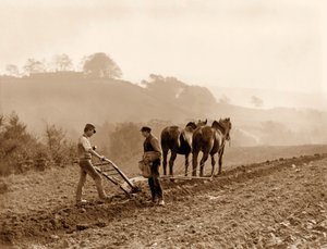 Bønder som pløyer en åker på Lealholm Hall Farm, Whitby. ca. 1889