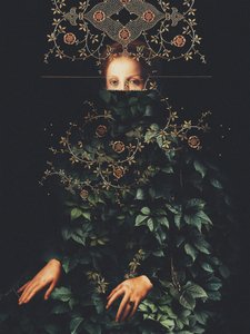«Patience II» av Frank Moth