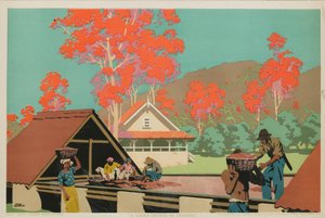 En kakaogård i Trinidad (farge litho) av Frank Newbould
