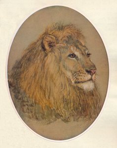 Lions Head, c1896