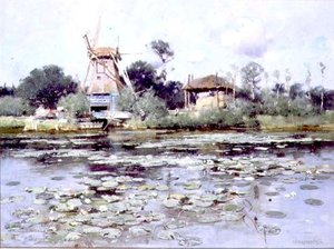 En mølledam