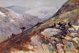 Nær Kielder (farge litho) av Frank Southgate