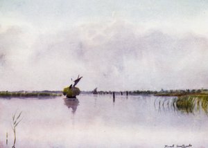 Norfolk Broads: Hay-Boat på Hickling Broad av Frank Southgate
