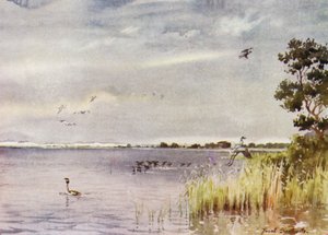 Norfolk Broads: Horsey Mere av Frank Southgate