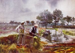 Norfolk Broads: Marshmen Weed-Lifting av Frank Southgate