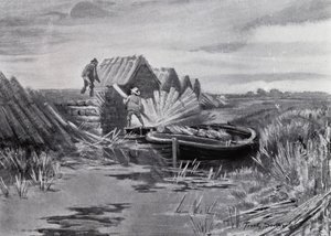 Norfolk Broads: Reed-Stacking (litho) av Frank Southgate
