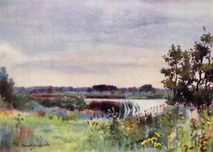 Norfolk Broads: Salhouse Great Broad (litho-farge) av Frank Southgate