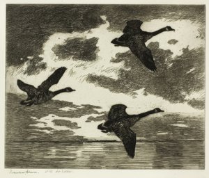 Overskyet morgen av Frank Weston Benson
