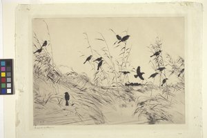 Blackbirds And Rushes (blekk på papir)