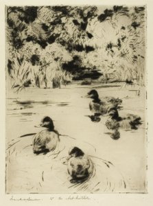 Små blåfugler av Frank Weston Benson