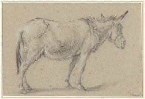 Stående esel, vendt mot høyre av François Boucher (possibly)