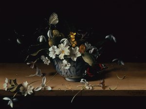 Blomster i en blå og hvit kinesisk porselensskål med en rød admiralsommerfugl på en trehylle (olje på panel) av François Habert