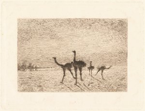 Strutser i ørkenen av François Nicolas Auguste Feyen Perrin
