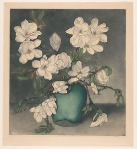 Magnoliataket
