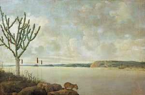  av Frans Jansz Post