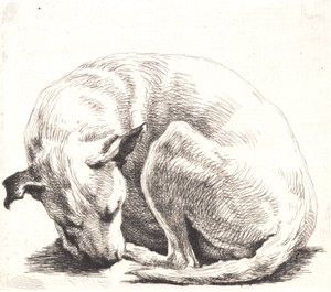 Prøveplate: En hund av Frans Schwartz