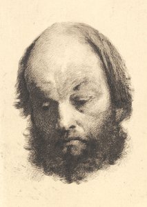 Svartskjeggmann, Garibaldi av Frans Schwartz