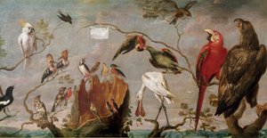 Fuglekonsertmaleri av Frans Snyders (Snijders) (1579-1657) Madrid fra 1600-tallet, Prado-museet