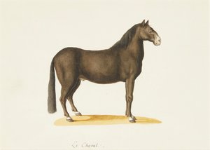 Le Cheval (watercolor)   1411909   no       norwegian Successfully Translated  Original: Barcelona, from Montjuich (colour litho) Translat: Barcelona, from Montjuich (colour litho) 1326546 no norwegian Successfully Translated Original: The Chinese Masquera av Franz Anton von (attr.to) Scheidel