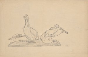 Utkast for en gruppe pelikaner av Franz Barwig d. Ä.