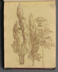 Album med utsikt over Roma og omegn, landskapsstudier, side 15a: Trær av Franz Johann Heinrich Nadorp