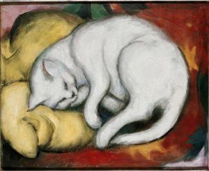 Den hvite katten