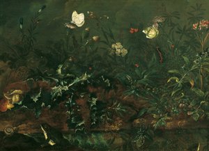 Plen med tistel, frosker og øyenstikkere av Franz Michael Siegmund von Purgau d. Ä.